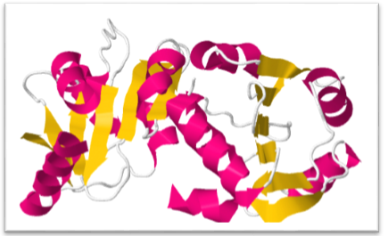 Creatinase