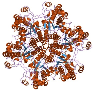 Creatininase