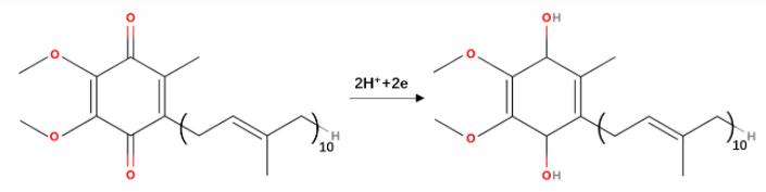 Structure of Cytochrome c Reductase.