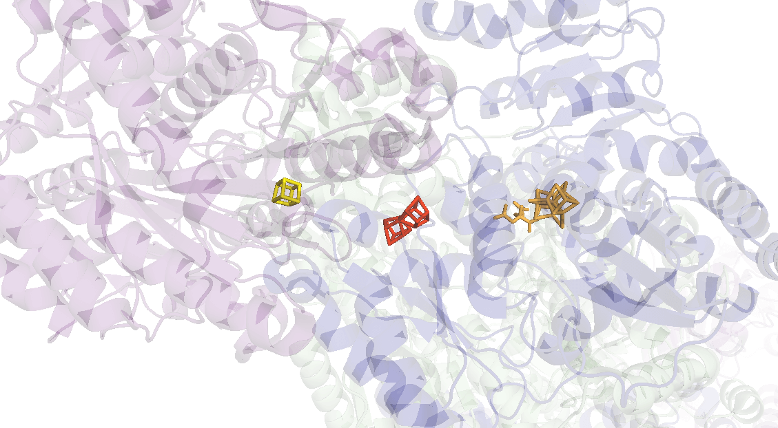 Catalytic assays characterize key parameters of a biocatalytic reaction