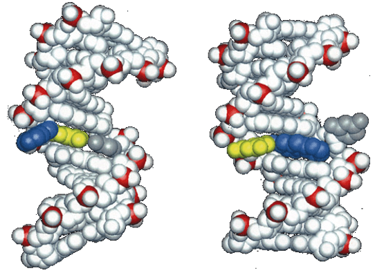 Computational modeling is widely used to mimic and investigate details of biocatalytic reactions