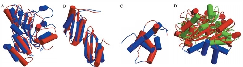 Comparison of the three individual domains of D-LDH with the corresponding domains of PCMH and MurB