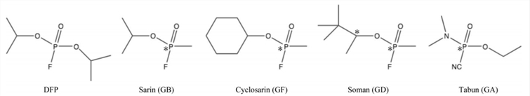 Structures of the DFPase substrates DFP, GB, GF, GD and GA. Stereocentres are indicated by asterisks 