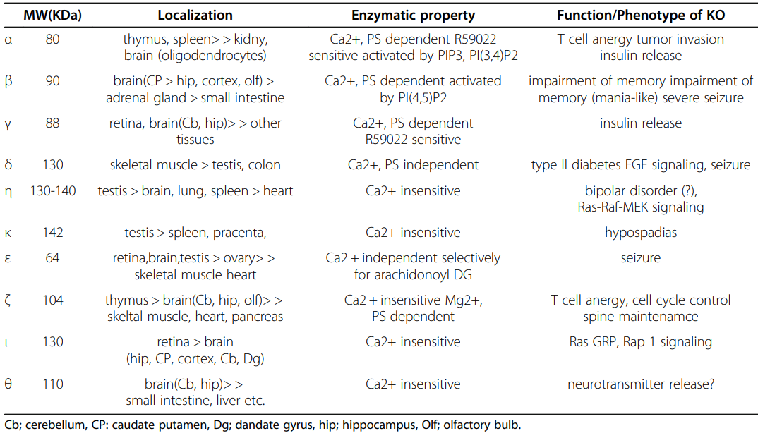 Characteristics of mammalian DGK subtypes