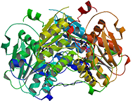 Cystathionine-β-synthase, Recombinant