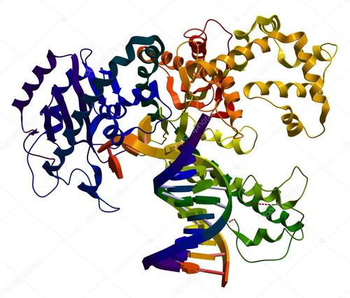 Structure of deoxyribonuclease II.
