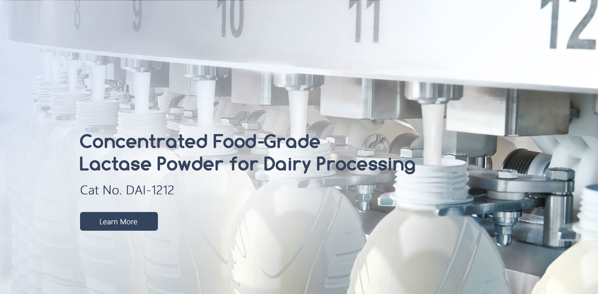 Enzyme, Zymogen, Coenzyme Creative Enzymes