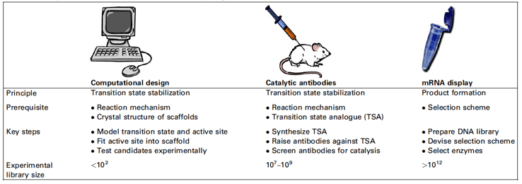 Different methods for de novo enzyme generation