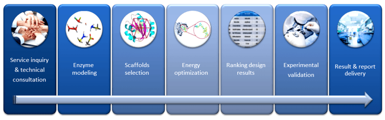 De Novo Design Services Workflow by Creative Enzymes