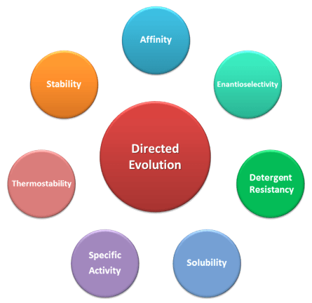 The Application of Directed Evolution Services by Creative Enzymes