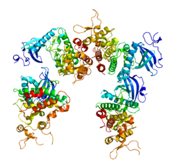Protein structure of DYRK1A.