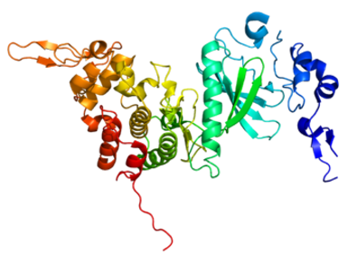  Protein structure of DYRK2.