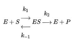 Effect of Substrate Concentration on Enzymatic Reaction