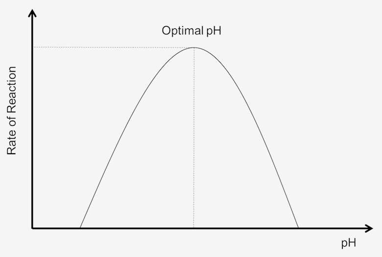 Effect of pH on Enzymatic Reaction