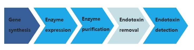 Figure 2: The flow chart of endotoxin removal service.