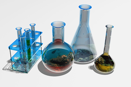 Bio-Degradation of Organic Materials