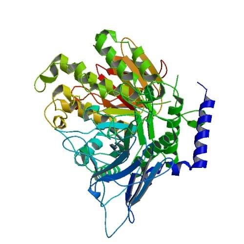 Enzyme Activity Measurement for 1,4-Alpha-Glucan Branching Enzyme Using Spectrophotometric Assays