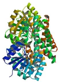 Enzyme Activity Measurement for 2-Hydroxy-3-Oxopropionate Reductase Using Spectrophotometric Assays