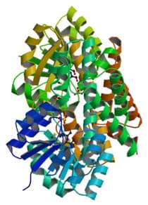 Enzyme Activity Measurement for 2-Hydroxy-3-Oxopropionate Reductase Using Spectrophotometric Assays