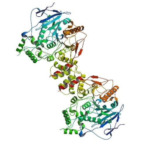 The crystal structure of human acetylcholinesterase