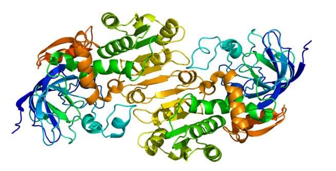 Enzyme Activity Measurement for Alcohol Dehydrogenases Using Spectrophotometric Assays