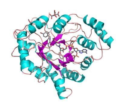 Enzyme Activity Measurement for Aldehyde Reductase Using Spectrophotometric Assays