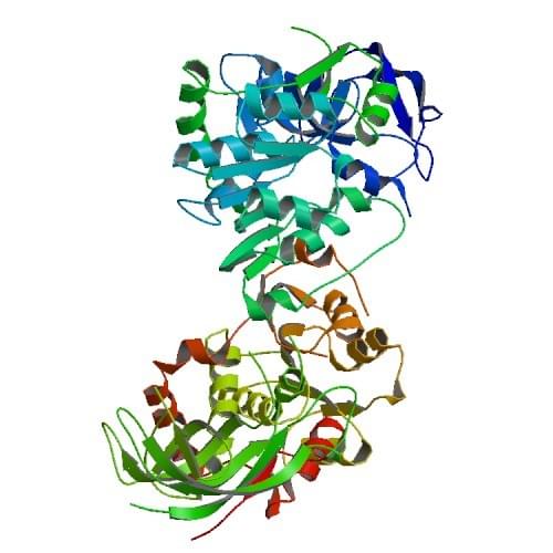 Enzyme Activity Measurement for Allyl-Alcohol Dehydrogenase Using Spectrophotometric Assays