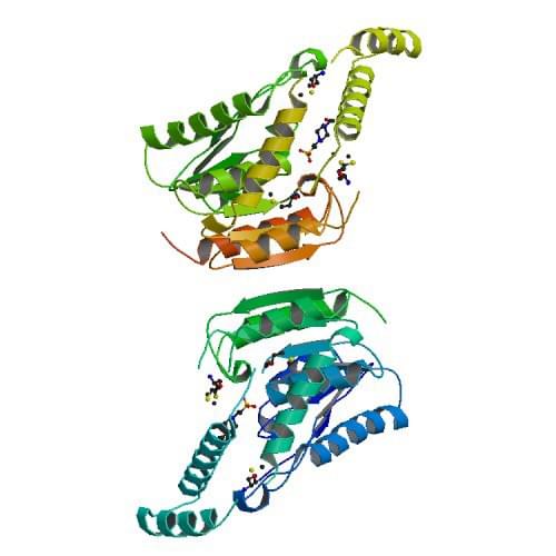 The  crystal structure of carboxylesterase from Geobacillus stearothermophilus
