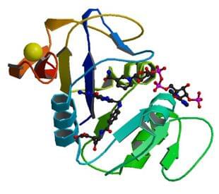 The crystal structure of E. Coli dihydrofolate reductase complexed with folate and NADP+.