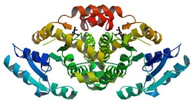 Enzyme Activity Measurement for Estradiol 17Beta-Dehydrogenase Using Spectrophotometric Assays