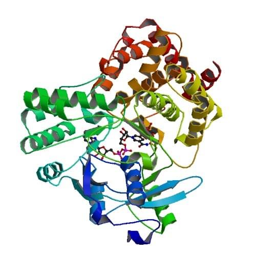 Enzyme Activity Measurement for Fructuronate Reductase Using Spectrophotometric Assays