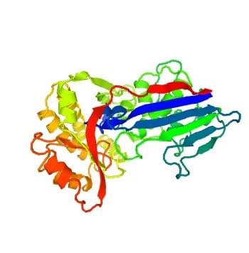 Figure: The crystal structure of human fucokinase.