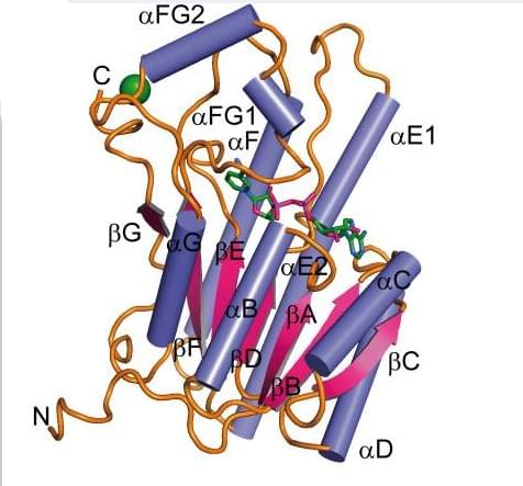 Enzyme Activity Measurement for Galactitol 2-Dehydrogenase Using Spectrophotometric Assays