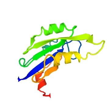 Figure 2: The crystal structure of mouse ganglioside galactosyltransferase.