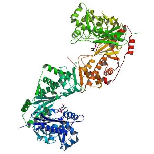 Figure: The crystal structure of glycerol kinase from Trypanosoma brucei gambiense.