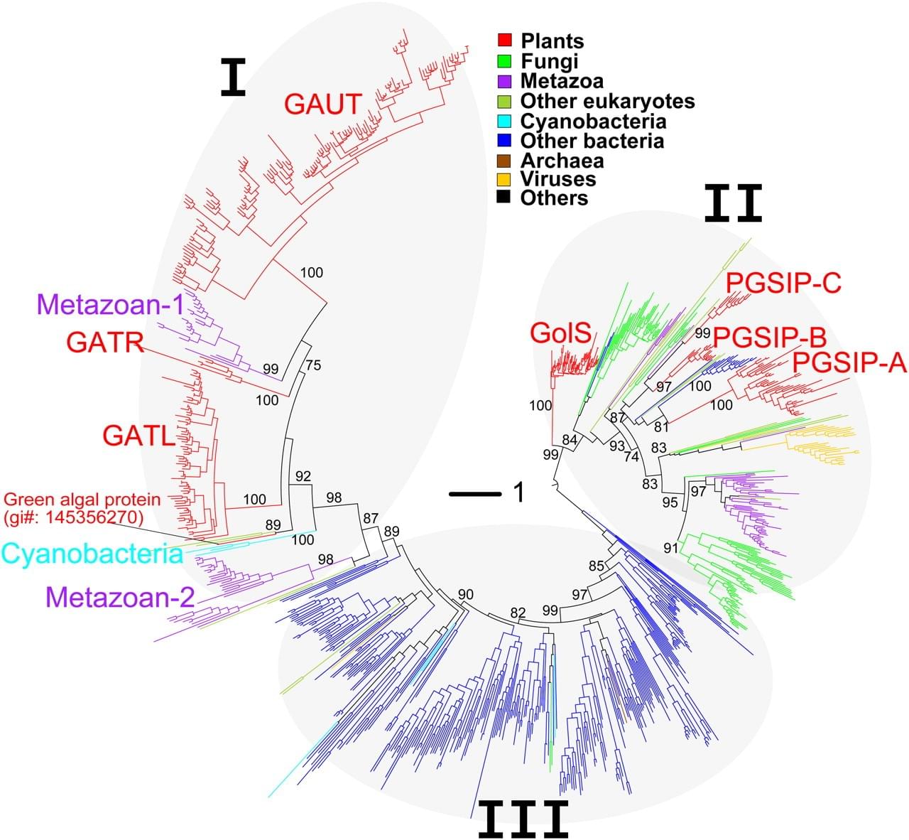 Enzyme Activity Measurement for Glycosyl, Hexosyl, and Pentosyl Transferases