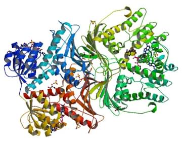 Enzyme Activity Measurement for Inositol 2-Dehydrogenase Using Spectrophotometric Assays