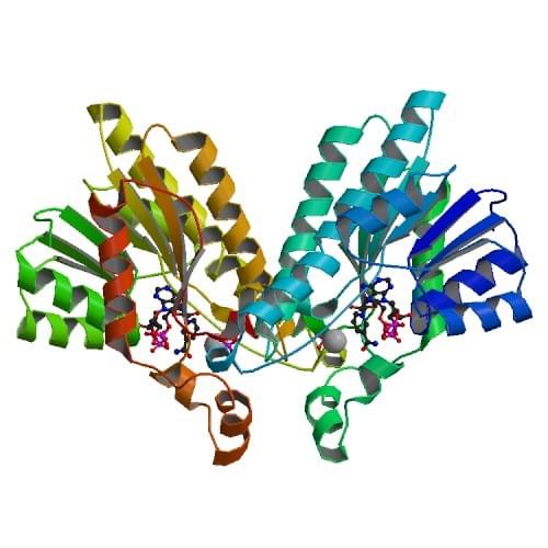 Enzyme Activity Measurement for L-Xylulose Reductase Using Spectrophotometric Assays