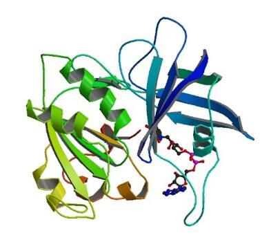 The crystal structure of nitrate reductase (NADH) from Zea mays.