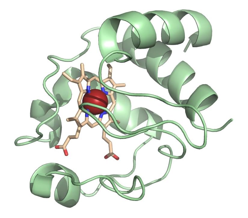 Enzyme Activity Measurement for Oxidoreductases Acting on Carbon with Cytochrome as Acceptor