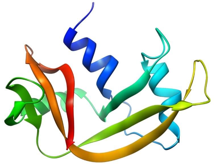 Figure: The crystal structure of pancreatic ribonuclease from Bos Taurus.