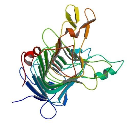 The crystal structure of pectinesterase from Dickeya dadantii.
