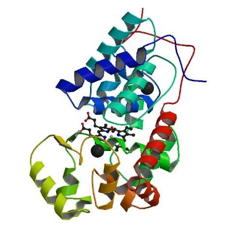 The crystal structure of ferric horseradish peroxidase C1A from Armoracia rusticana.