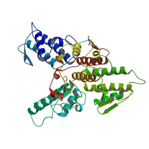The crystal structure of phospholipase A2 (MIPLA2) from Micropechis Ikaheka