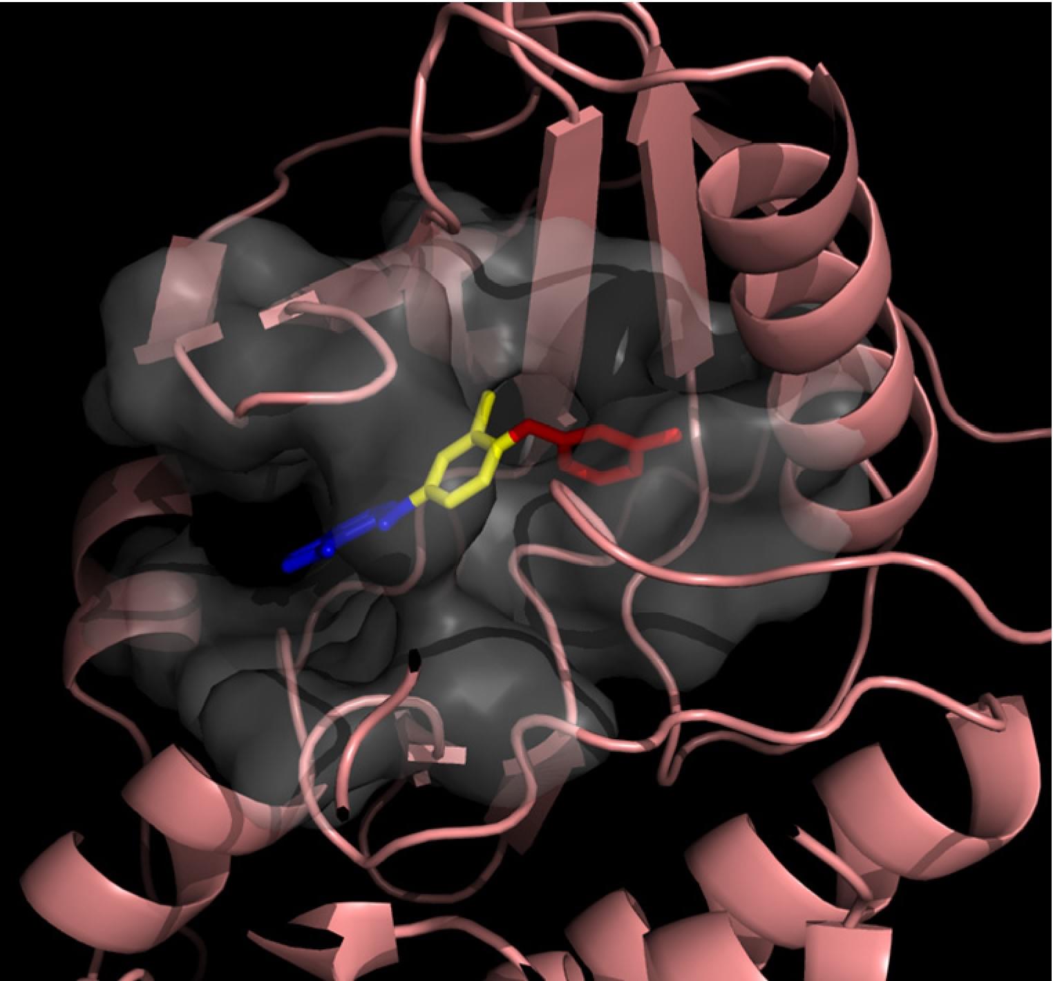 Enzyme Activity Measurement for Phosphorus Transferases