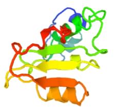 Enzyme Activity Measurement for Tagaturonate Reductase Using Spectrophotometric Assays