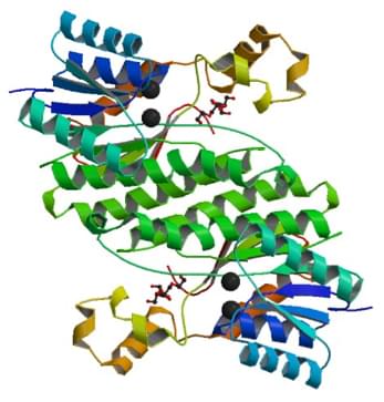 Enzyme Activity Measurement for Testosterone 17Beta-Dehydrogenase(NAD<sup>+</sup>) Using Spectrophotometric Assays