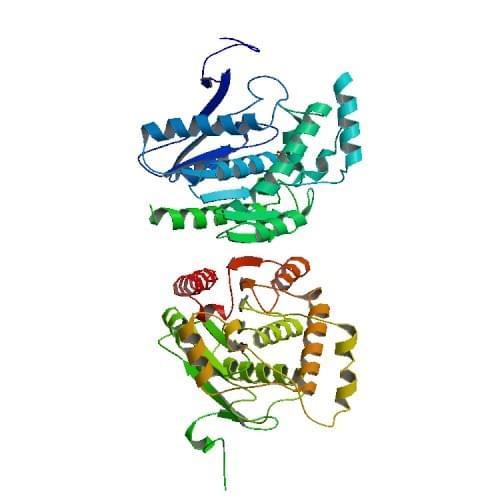 The crystal structure of human acylglycerol lipase