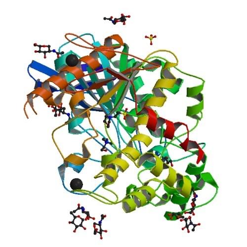 The crystal structure of human BChE in complex with a choline molecule