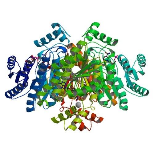 Enzyme Activity Measurement of D-Xylulose Reductase Using Spectrophotometric Assays